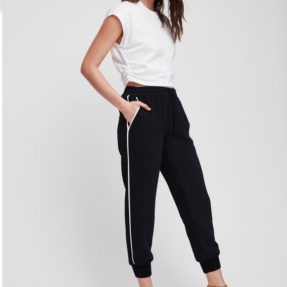 Aritzia Pants - Wilfred Buffon Pant size xxs